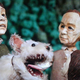 Illustration for article titled Takashi Miike offers a strange brew of comedy, music, and mayhem